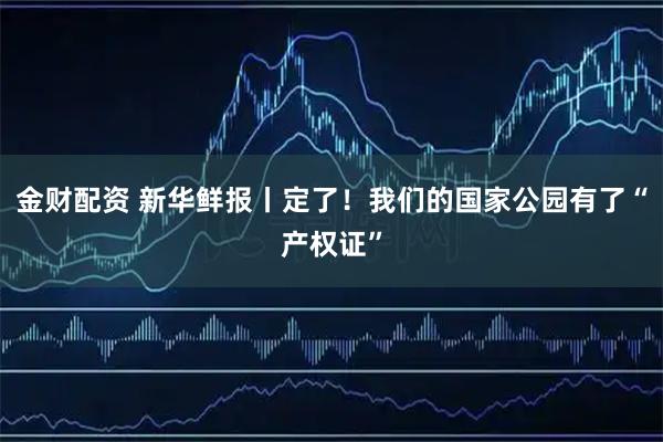 金财配资 新华鲜报丨定了！我们的国家公园有了“产权证”