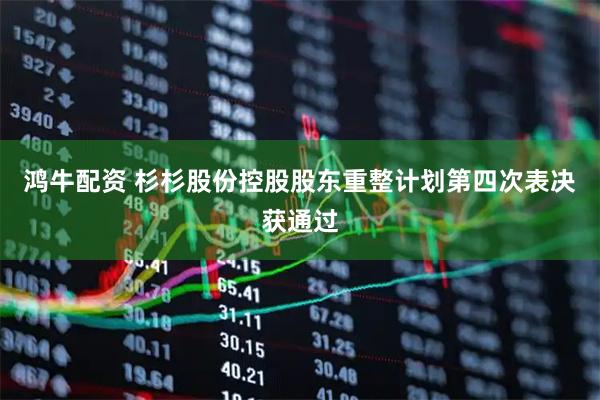 鸿牛配资 杉杉股份控股股东重整计划第四次表决获通过