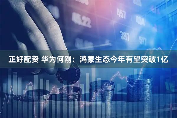 正好配资 华为何刚：鸿蒙生态今年有望突破1亿