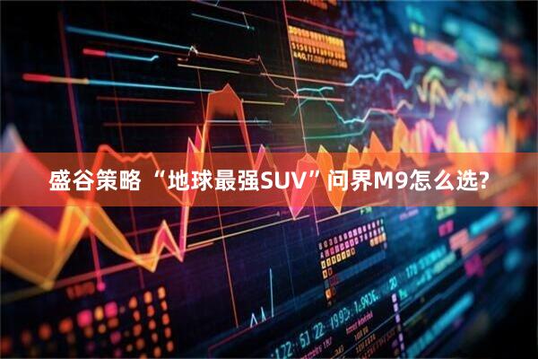 盛谷策略 “地球最强SUV”问界M9怎么选?