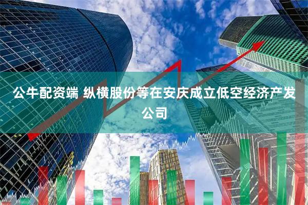 公牛配资端 纵横股份等在安庆成立低空经济产发公司