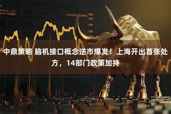 中鼎策略 脑机接口概念逆市爆发！上海开出首张处方，14部门政策加持