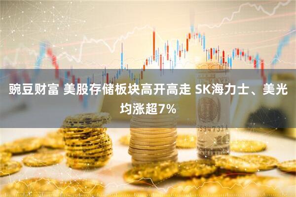 豌豆财富 美股存储板块高开高走 SK海力士、美光均涨超7%